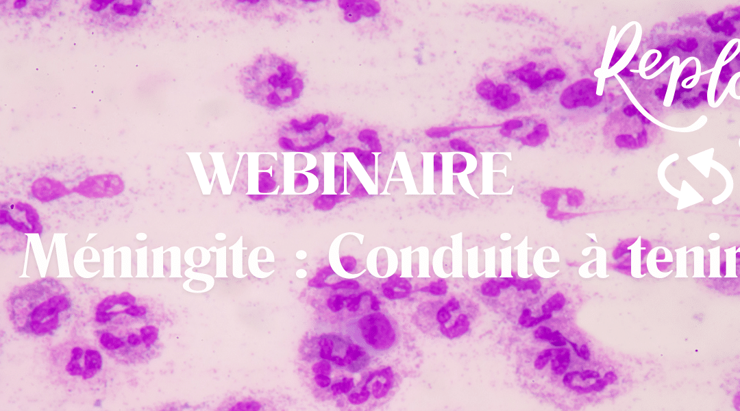 Webinaire Conduite à tenir devant une méningite